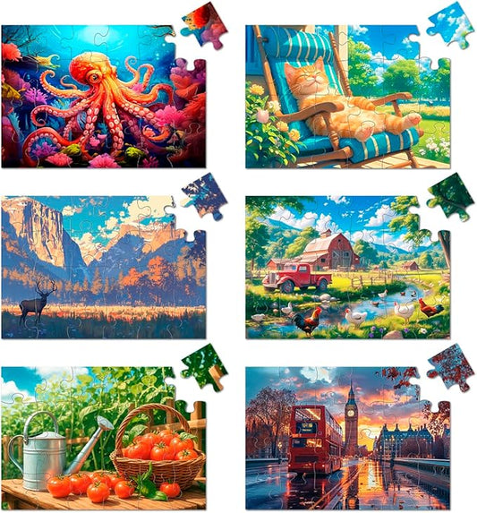 6 Pack 24 Large Piece Jigsaw Puzzles for Seniors Alzheimer Product for Elderly Dementia Activities Memory for Patients in Nursing Home with Storage Box