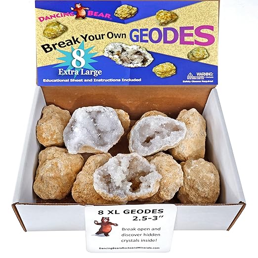 DANCING BEAR 8 XL Break Your Own Geodes, (2.5-3.5") 90% Hollow, Crack Open & Discover Amazing Surprise Crystals Inside! Educational Info and Instructions Included, Fun Party Favors & Prizes