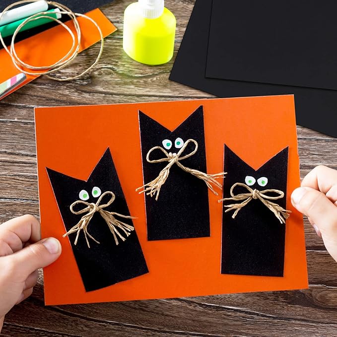 1000 Sheets Construction Paper Bulk School Supplies 9 x 12 Inches Art Classic Heavyweight Paper Craft for Kids Adults Holiday Drawing(Black)