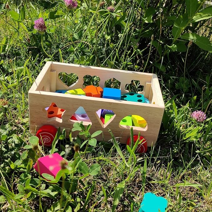 Wooden Shape Sorter Toy, Shape Stacking Toys for toddlers 1-3, Montessori Toys for 1 2 3 Year Old Kids and Toddlers, Wooden Shape Sorter Baby Toys, Sensory Toys for Toddlers 1-3 Wooden Stacking Blocks