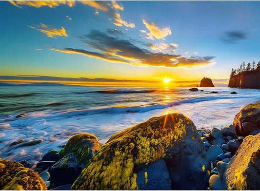 500 Pieces Puzzle for Adults - Olympic National Park Jigsaw Puzzle for Adults Kids Teens,Recycled Cardboard Sunset Beach Puzzle 500 Pieces,Challenging Game for Family Fun & Gift Idea,20.5 x 15 in