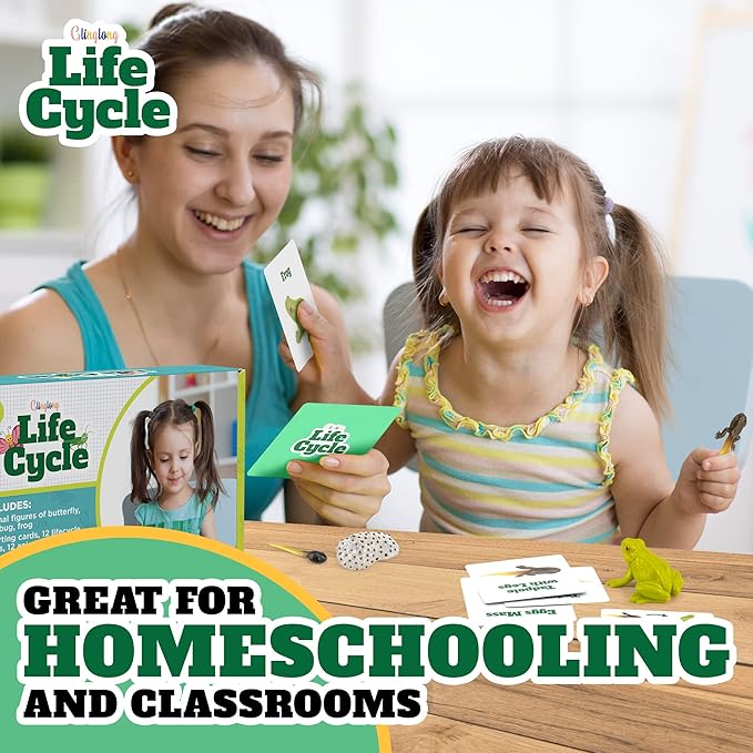 Life Cycle Animal Kit - 12-Piece Montessori Science Toy with Frog, Ladybug & Butterfly Figures. Matching Game & Educational Gift for Kids Ages 3 4 5 6 7 8