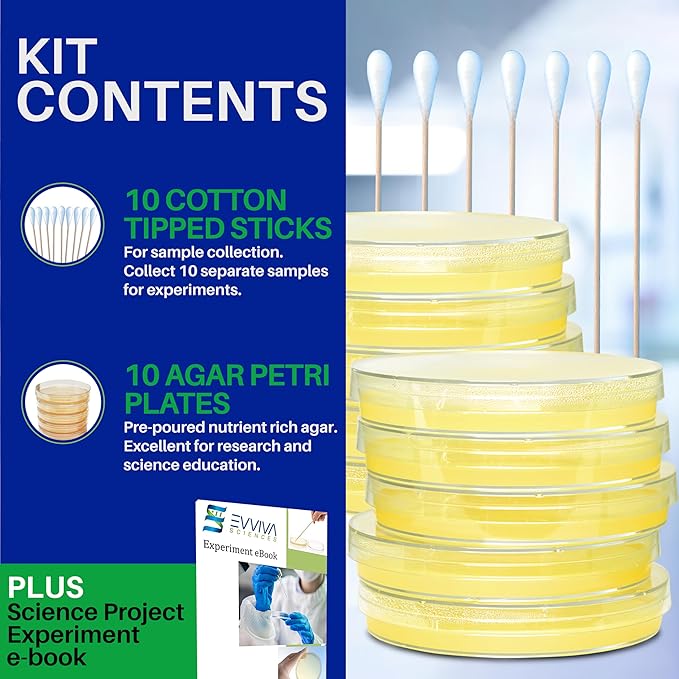Evviva Sciences Nutrient Agar Petri Dishes Science Project Kit, Pre-Poured Agar Plates for Science Experiments, with Experiment eBook (Yellow)