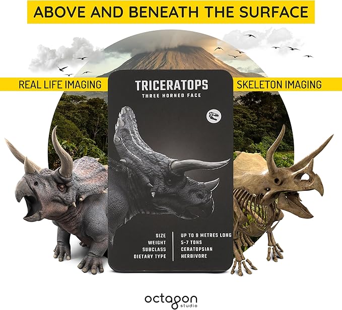 Dinosaur 4D+ Augmented Reality Cards – 20 3D Dinosaurs with Free App, Educational Gift for Kids Ages 5+, Ideal for Classrooms, Homeschooling, STEM Learning and Easy to Use on Phones or Tablets