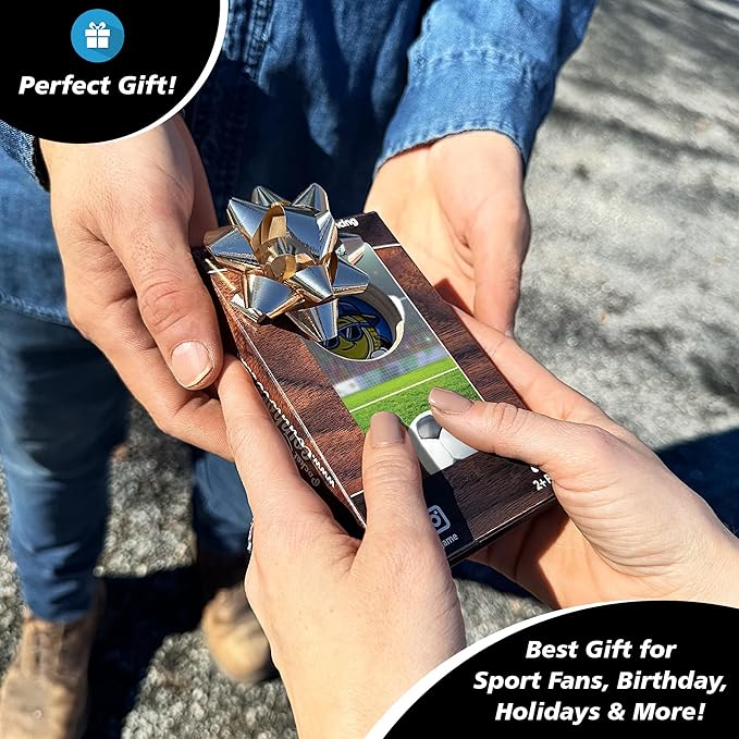 Coinhole Desktop Coin Bouncing Party Game Set | Tabletop Cornhole Board Game | Small Cornhole Travel Game Includes Coins