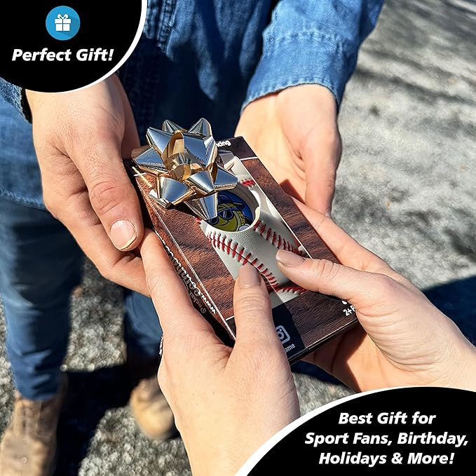 Coinhole Desktop Coin Bouncing Party Game Set | Tabletop Cornhole Board Game | Small Cornhole Travel Game Includes Coins