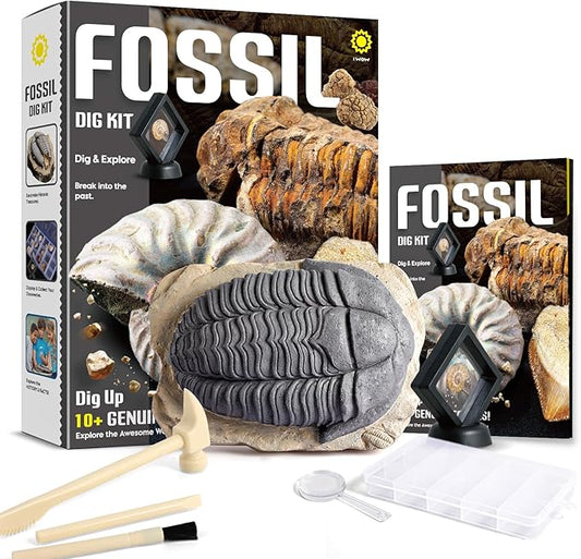 Byncceh Mega Fossil Dig Kit - Dig Up 12 Real Fossils Including Sharks, Dinosaurs & Ammonites - Archaeology Paleontology Science STEM Gift for Kids Ages 6-12