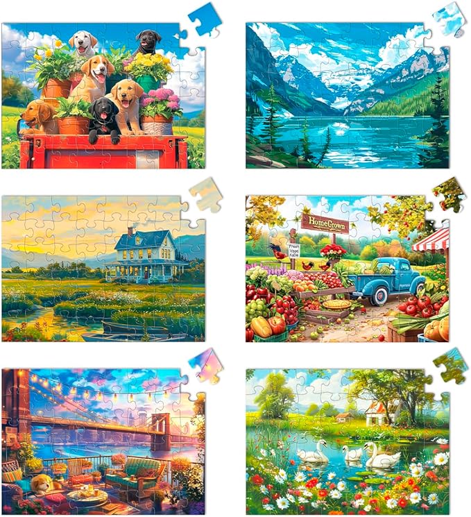 6 Pack 48 Large Piece Jigsaw for Seniors Alzheimer Products for Elderly Dementia Activities Memory for Patients in Nursing Home with Storage Box