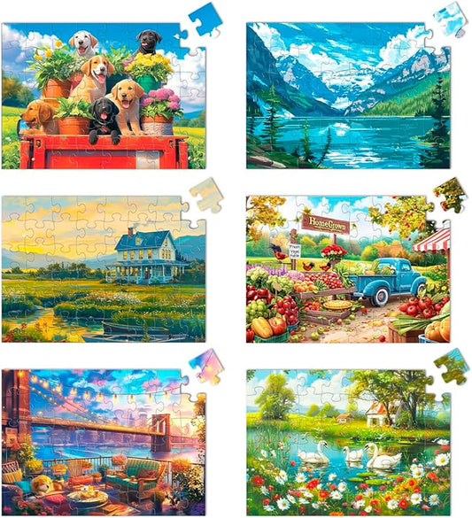 6 Pack 48 Large Piece Jigsaw for Seniors Alzheimer Products for Elderly Dementia Activities Memory for Patients in Nursing Home with Storage Box