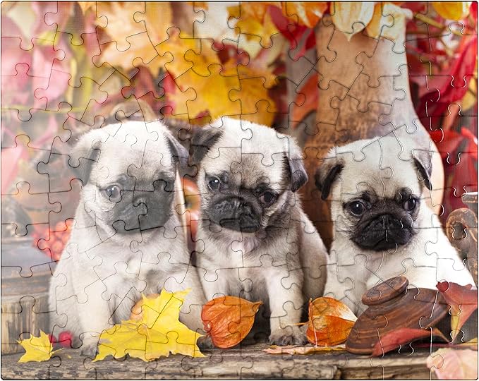 MyPuzzle Pug Puppies - Premium 100 Piece Jigsaw Puzzle - Made in USA