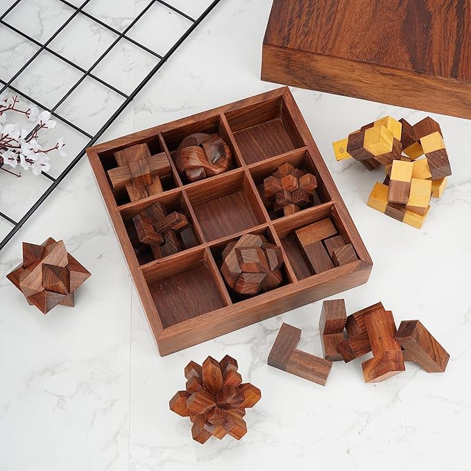 Ajuny 9-in-1 Wooden Puzzle Game Set 3D Brain Teasers Puzzles IQ Logic for Teens and Adults Handmade Interlocking Kongming Lock Game with Decorative Storage Box Unique Gift for Christmas and Birthdays