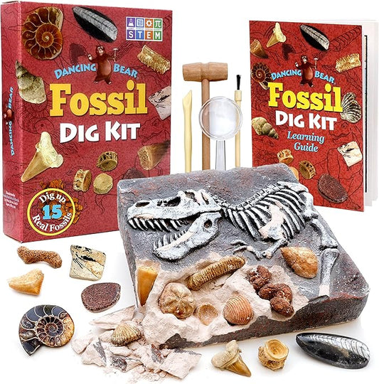 DANCING BEAR Fossil Dig Kit, Excavate 15 Prehistoric Fossils Including Real Dinosaur Bones and Shark Teeth, Paleontology STEM Education for Kids, Fun Science Activity Gift Sets for Girls and Boys