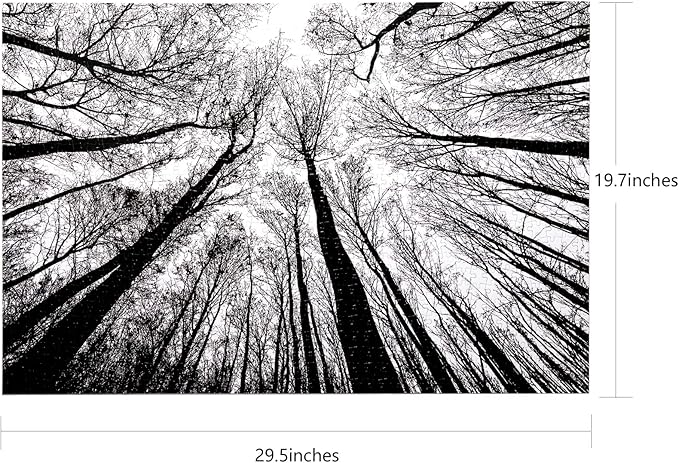 Bgraamiens Puzzle-Forest in Black and White-1000 Pieces Creative Black and White Nature Scenery Hard Puzzle Blue Board Jigsaw Puzzle