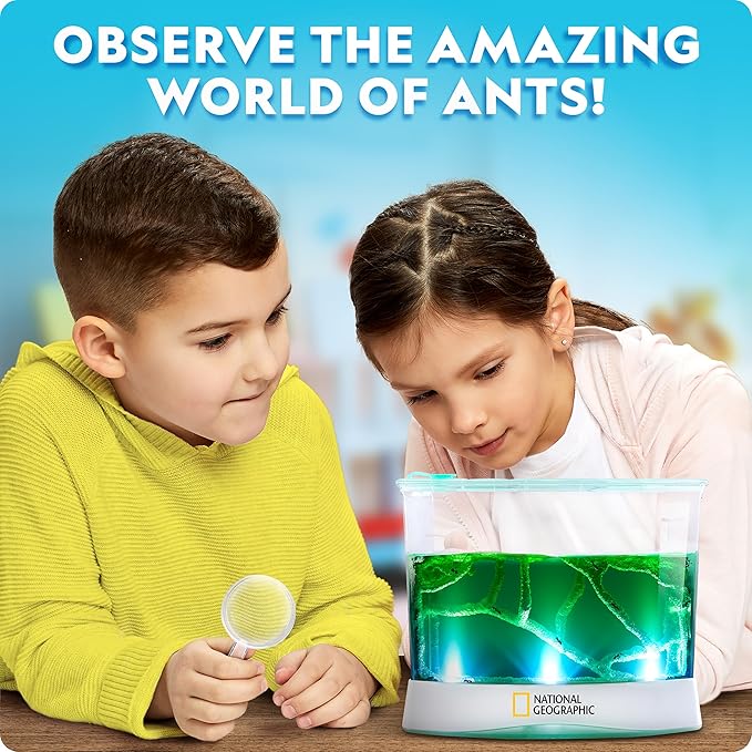 National Geographic Ant Habitat Kit - Light-Up Ant Terrarium with Built-in Magnifiers, Tunnel Starter Tool & More, Ant Activities for Kids, Ant Home, Ant Colony, Ant Habitat, Ant House for Kids