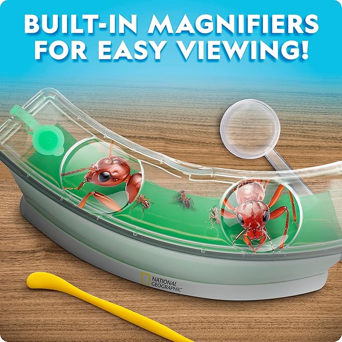 National Geographic Ant Habitat Kit - Light-Up Ant Terrarium with Built-in Magnifiers, Tunnel Starter Tool & More, Ant Activities for Kids, Ant Home, Ant Colony, Ant Habitat, Ant House for Kids