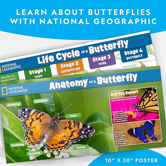 National Geographic Butterfly Growing Kit - Butterfly Habitat Kit with Voucher to Redeem 5 Caterpillars (S&H Not Included), Butterfly Cage, Feeder (Amazon Exclusive)