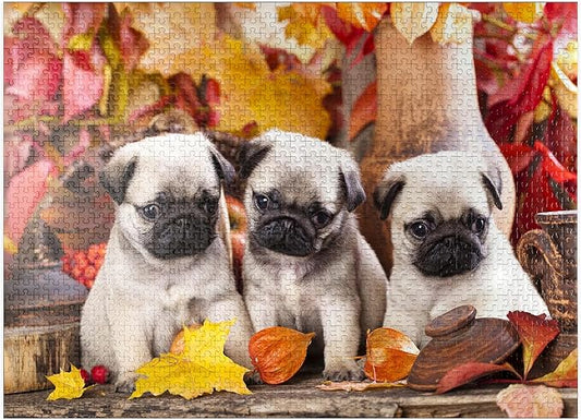 MyPuzzle Pug Puppies - Premium 1000 Piece Jigsaw Puzzle - Made in USA