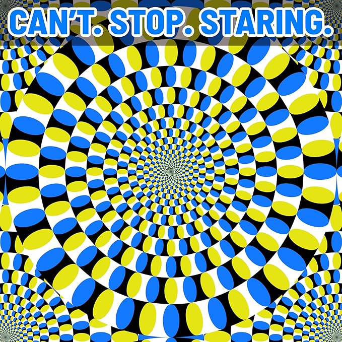 Funwares Optical Illusion Puzzle – 1000 Piece Expert-Level Jigsaw for Adults – Hypnotic Visual Movement – Modern Art Challenge – Elegant Gift for Puzzle Pros & Design Lovers