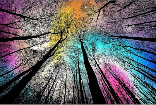 Bgraamiens Puzzle-Forest Under Starry Night-1000 Pieces Gradient Magic Colorful Puzzle for Adult,Hard Challenge Puzzle for Adult