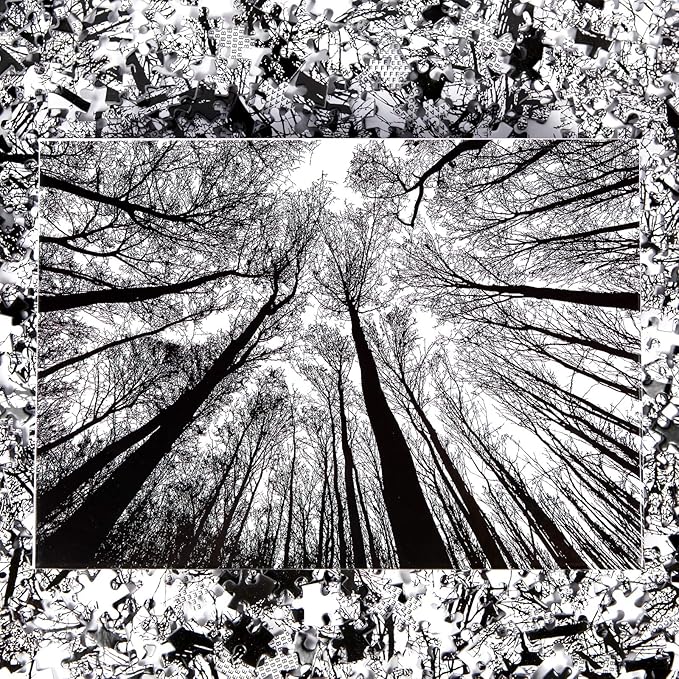 Bgraamiens Puzzle-Forest in Black and White-1000 Pieces Creative Black and White Nature Scenery Hard Puzzle Blue Board Jigsaw Puzzle