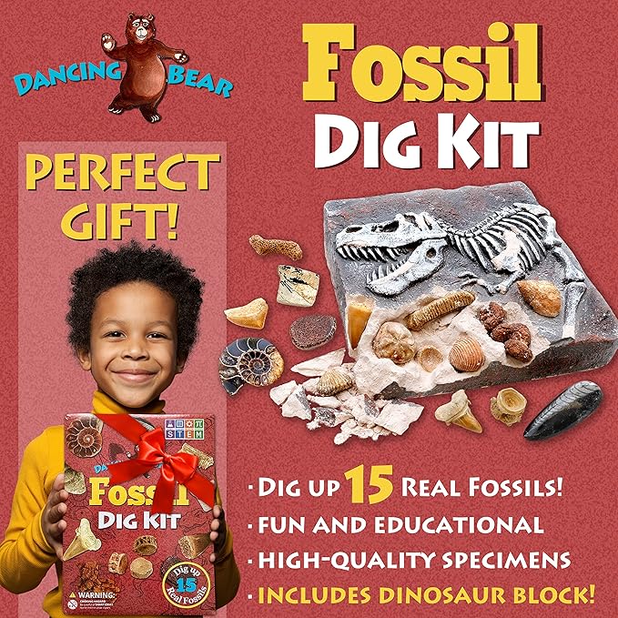 DANCING BEAR Fossil Dig Kit, Excavate 15 Prehistoric Fossils Including Real Dinosaur Bones and Shark Teeth, Paleontology STEM Education for Kids, Fun Science Activity Gift Sets for Girls and Boys