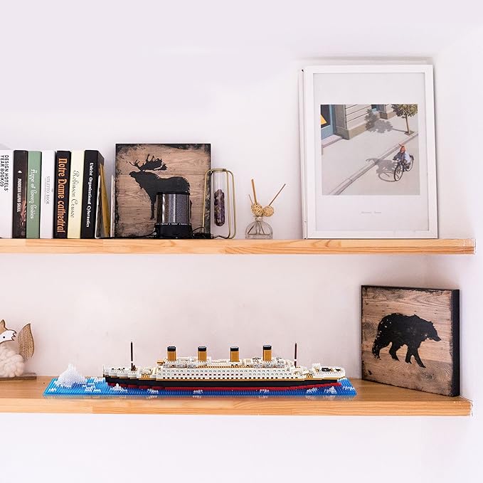 Micro Mini Blocks Building Set Architecture Titanic Cruise Ship Modle Kit, a DIY Mini Bricks for Adults and Toys Presents for Kids 1872 PCS