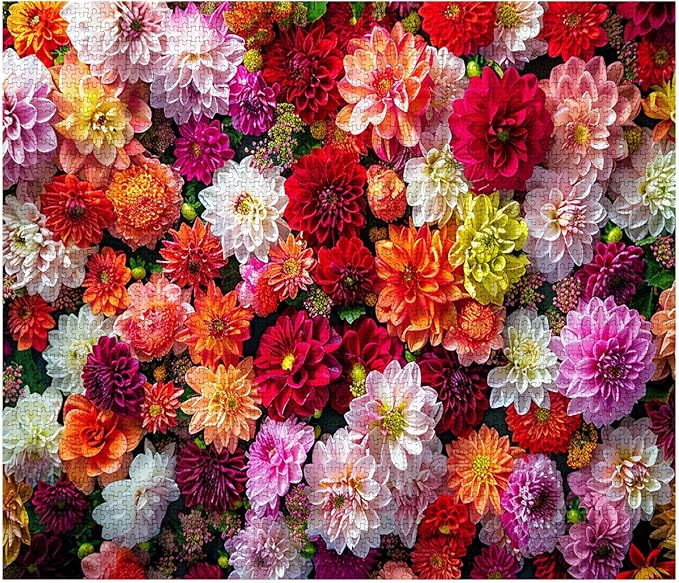 Tucocoo Flowers Background Jigsaw Puzzle 1000 Pieces Puzzles for Adults, Chrysanthemum Floral Art Puzzles for Challenging Family Activity Games 20 x 27 inches DIY Puzzle for Home Decor Gifts