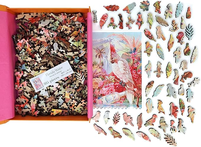 Wooden Jigsаw Puzzle for Adults - Uniquely Shaped Pieces - Made in The USA by FoxSmartBox - 305 Pieces - Florida Water