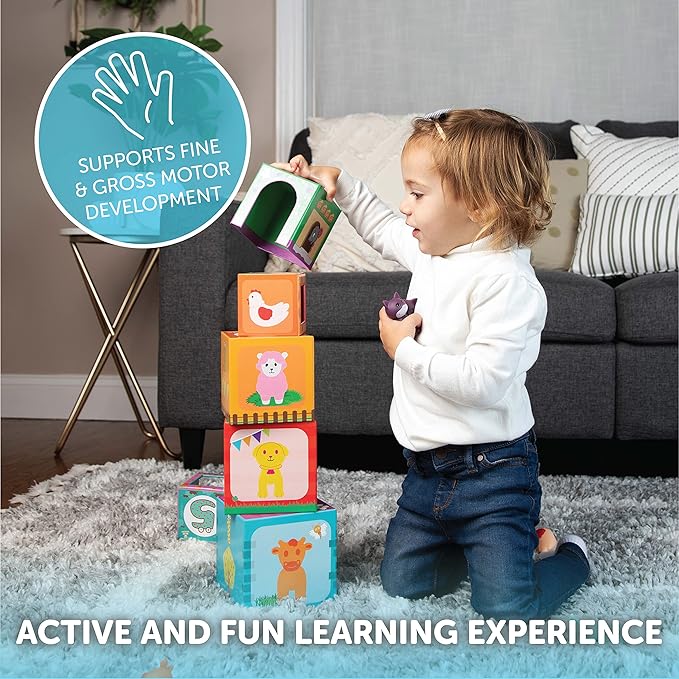 Play Brainy Farm Animal Sorting and Stacking Toys for Toddlers Ages 1-3 - 6 Sets of Animal Stacking Blocks Toddler Toys for Girls and Boys for Preschool Concepts & Early Learning Baby Gifts