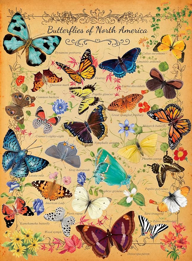 500 Piece Puzzles for Adults Butterflies of North America 20.5 x 15 Inch 500 Piece Jigsaw Puzzles for Kids Adults Puzzles 500 Pieces for Adults Holiday Educational Challenge Toy
